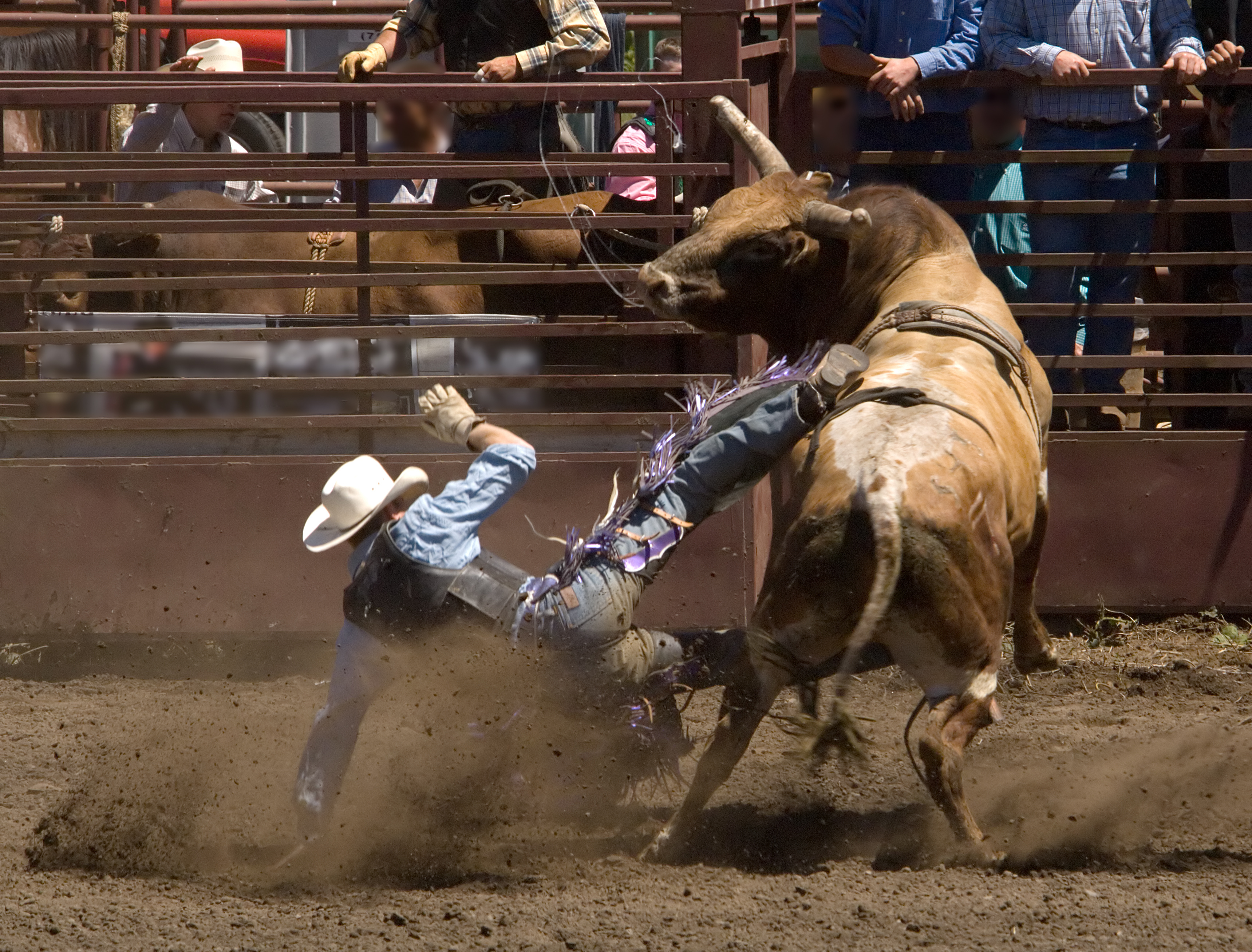 Professional Bull Riding, Monster Trucks, Fairs and Firearm Show this April