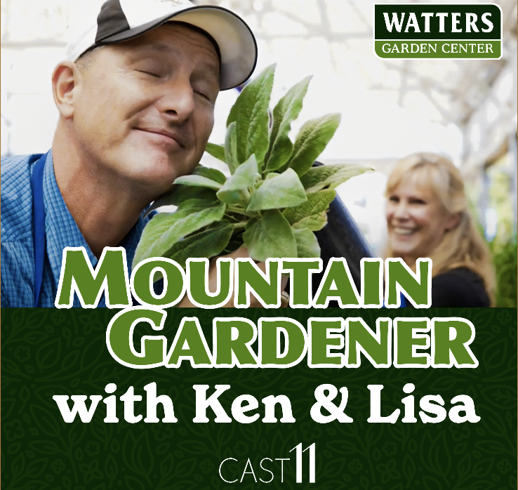 CAST11 podcast network Watters Garden Center