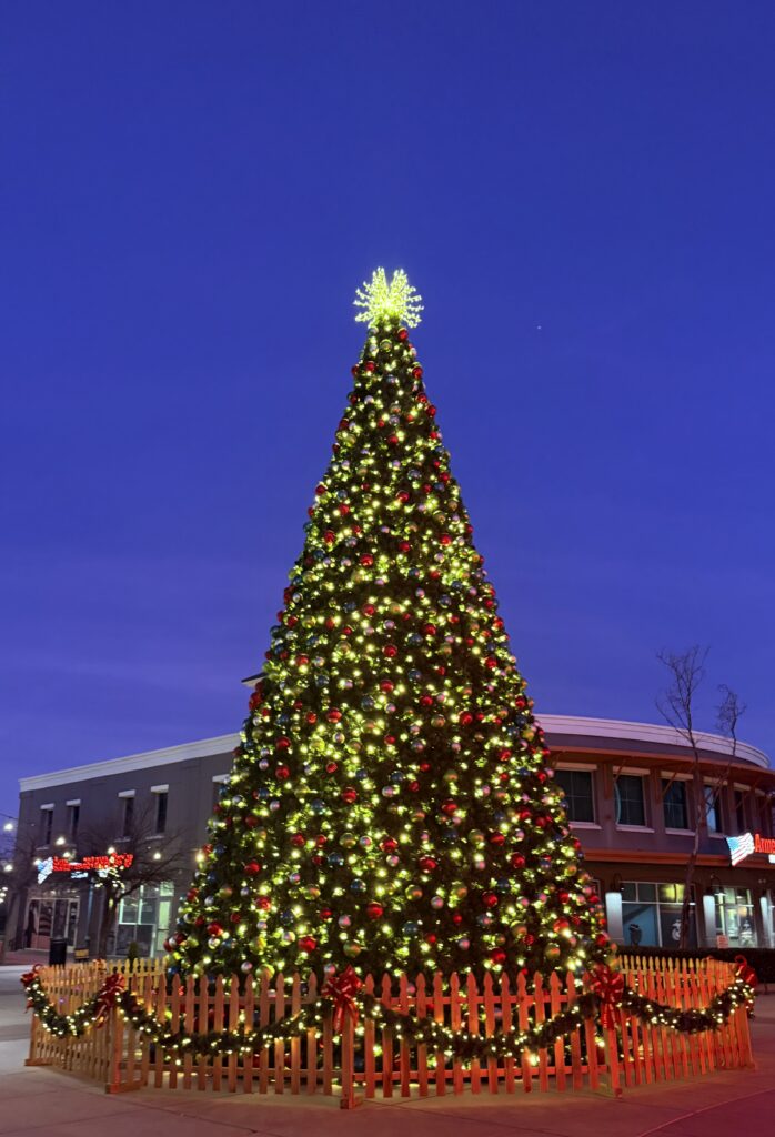 christmas tree at town center